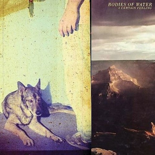 Bodies of Water - A Certain Feeling { vinyl }