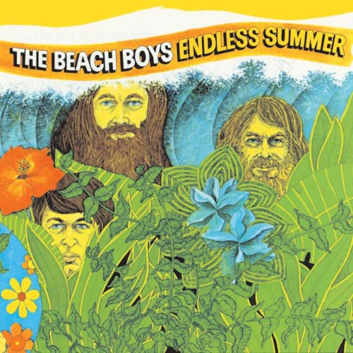 The Beach Boys - Endless Summer [2LP] { vinyl }