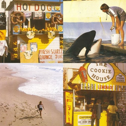 Best Coast - Something in the Way { vinyl }