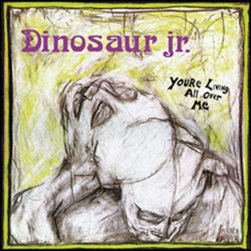 Dinosaur Jr. - You're Living All Over Me { vinyl }