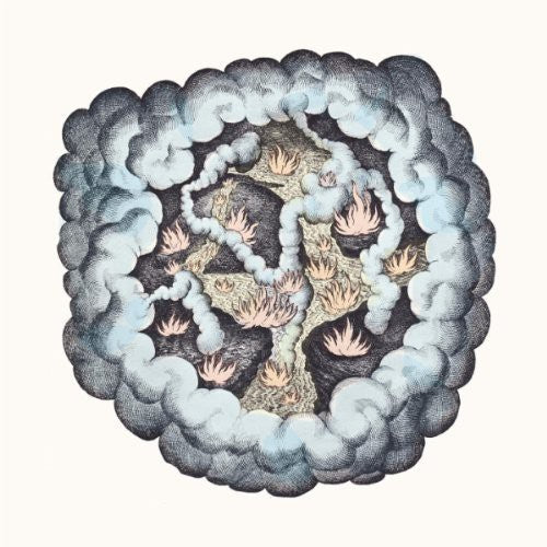 TW Walsh - Songs of Pain and Leisure { vinyl }