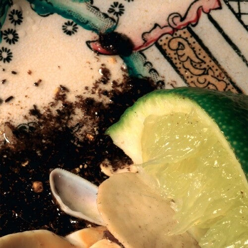 Donato Dozzy - Plays Bee Mask { vinyl }