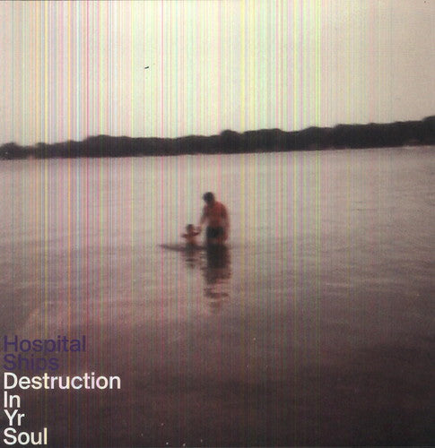 Hospital Ships - Destruction in Yr Soul { vinyl }