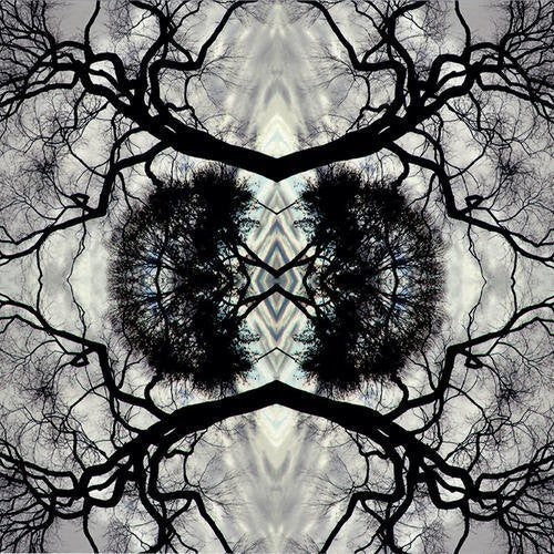 Adam Rudolph - Sonic Mandala Go: Organic Orchestra { vinyl }