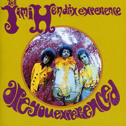 The Jimi Hendrix Experience - Are You Experienced { vinyl }