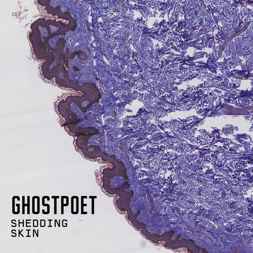 Ghostpoet - Shedding Skin { vinyl }