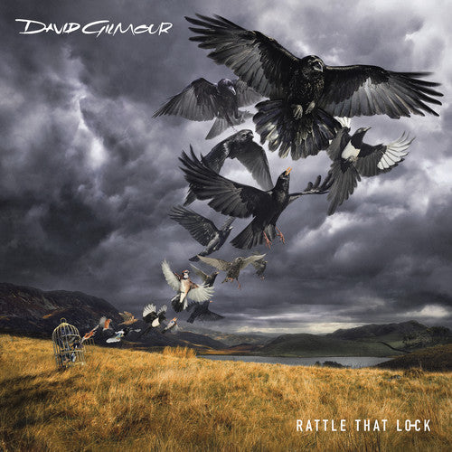 David Gilmour - Rattle That Lock { vinyl }