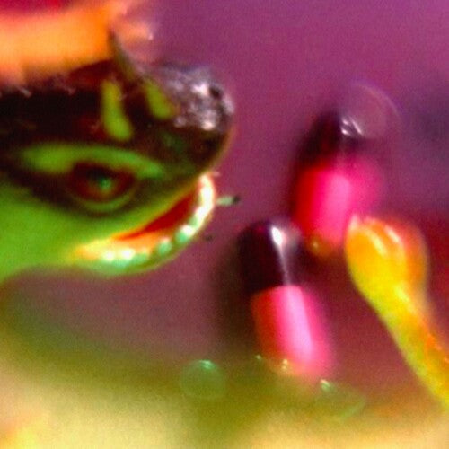 Bush Tetras - Take The Fall { vinyl }