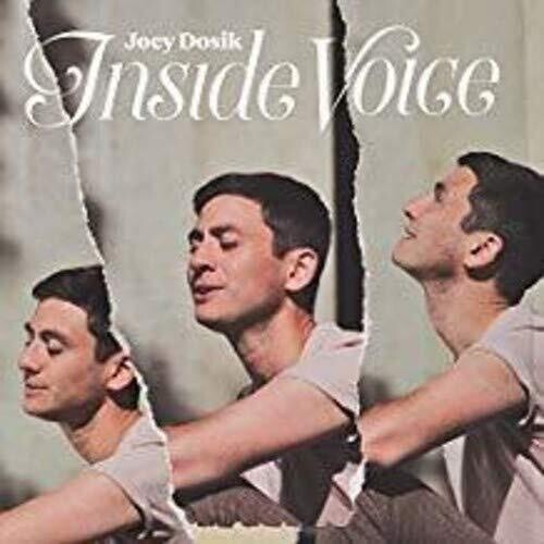 Joey Dosik - INSIDE VOICE { vinyl }