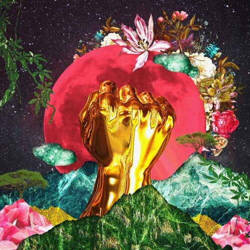 Rina Mushonga - In A Galaxy { vinyl }