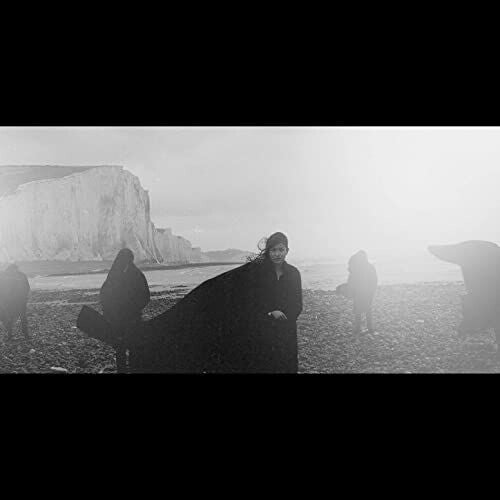 Dog in the Snow - Vanishing Lands { vinyl }