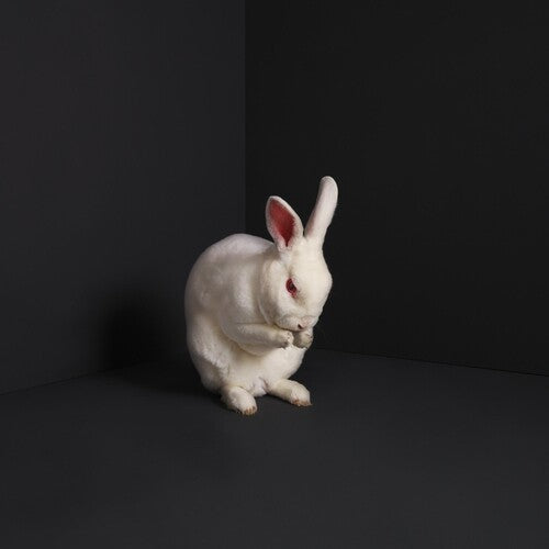 Brume - Rabbits { vinyl }