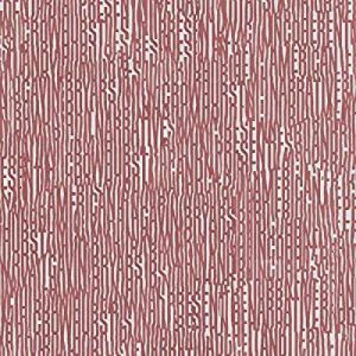 Crowhurst - Crowhurst and Gavin Bryars present Incoherent American Narrative { vinyl }
