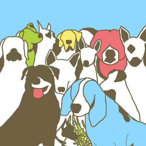 The Format - Dog Problems [2LP] { vinyl }