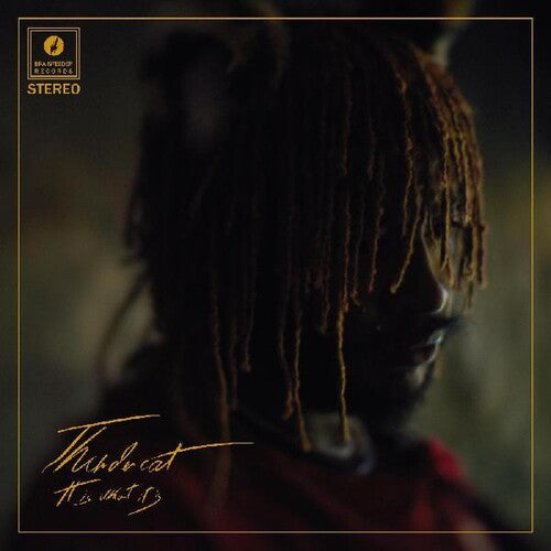 Thundercat - It Is What It Is { vinyl }