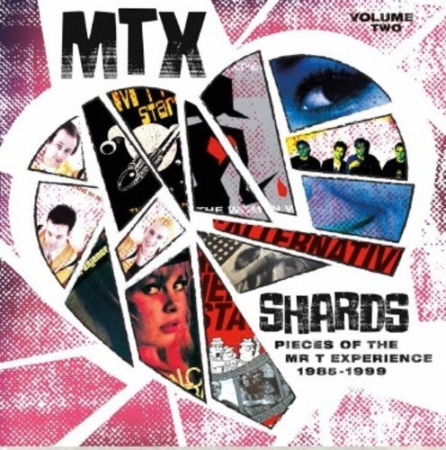 Mr T Experience - Shards Vol. 2 { vinyl }