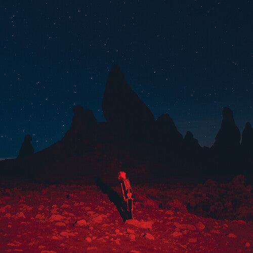 Phoebe Bridgers - Punisher { vinyl }