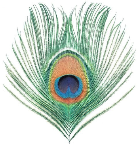 XTC - Apple Venus Vol 1 { vinyl }