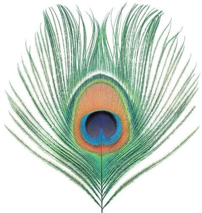 XTC - Apple Venus Vol 1 { vinyl }