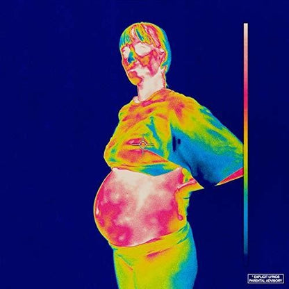 BROCKHAMPTON - iridescence [2LP] { vinyl }