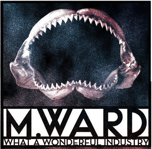 M. Ward - What a Wonderful Industry { vinyl }