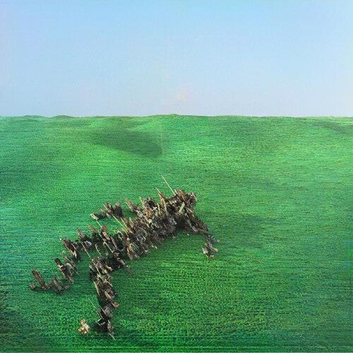Squid - Bright Green Field { vinyl }