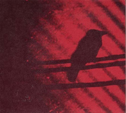 A Silver Mt. Zion - Born Into Trouble As the Sparks Fly Upward { vinyl }