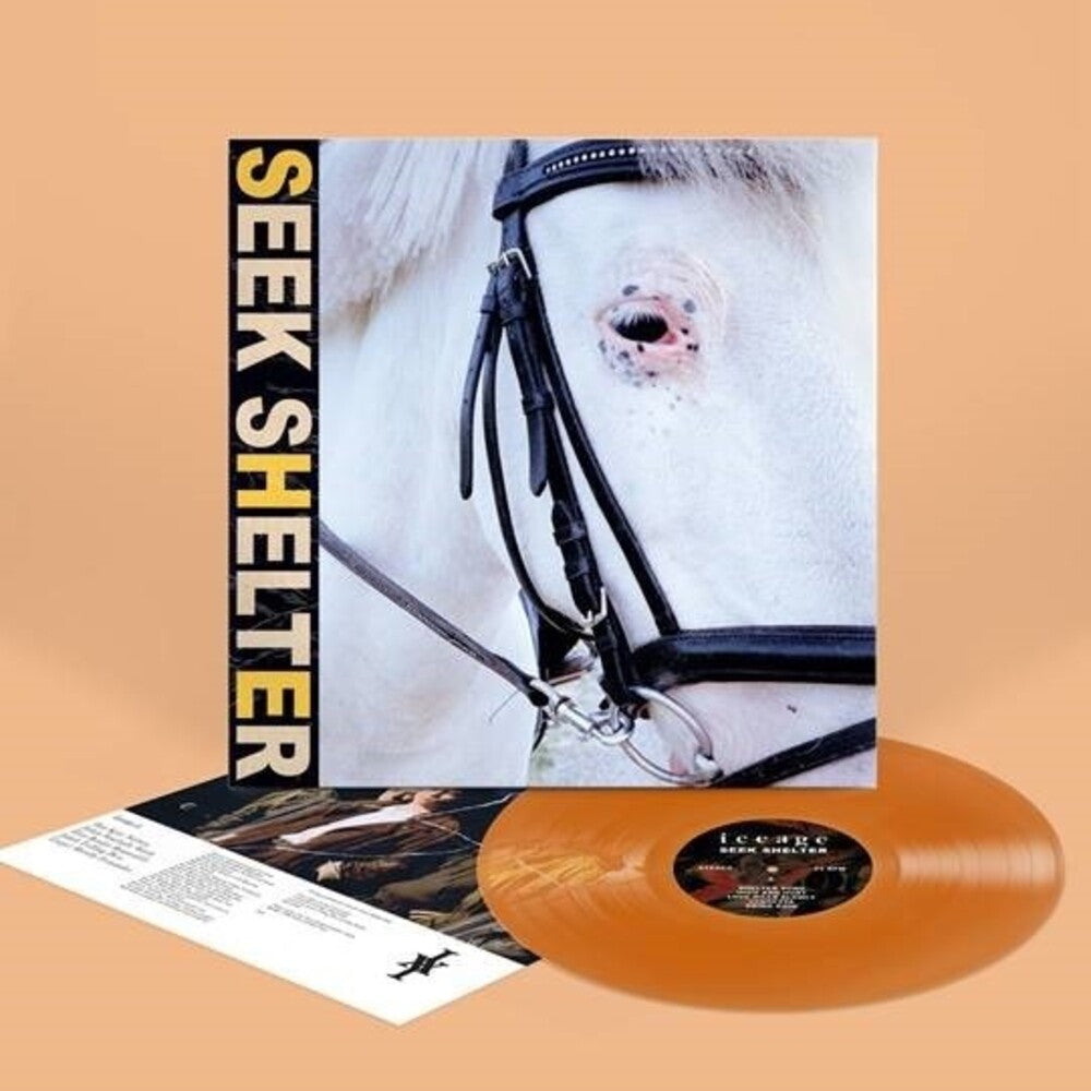 Iceage - Seek Shelter (Indie Exclusive Limited Edition Orange LP)