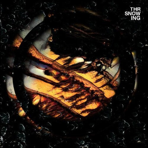 Throwing Snow - Dragons { vinyl }
