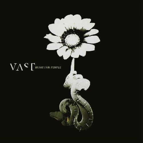 VAST - Music For People { vinyl }