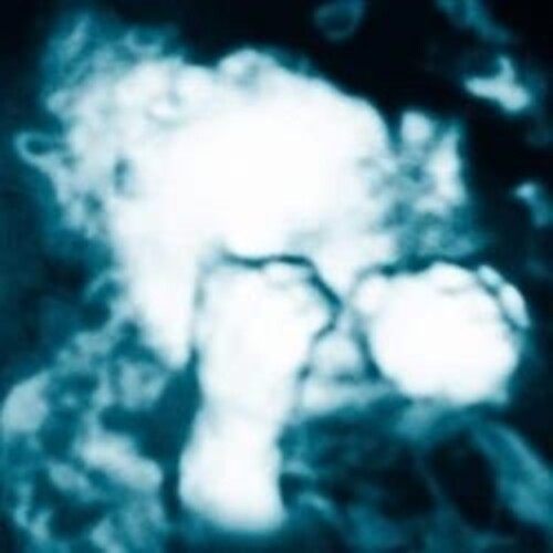 Sandra Monfort - Nino Reptil Angel { vinyl }