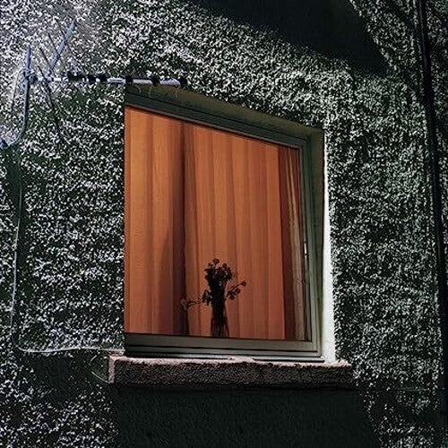 Wyldest - Monthly Friend { vinyl }