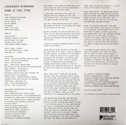 Lavender Diamond - Now is the Time { vinyl }