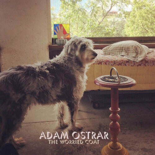 Adam Ostrar - The Worried Coat { vinyl }