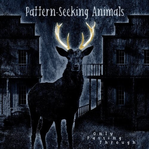 Pattern-Seeking Animals - Only Passing Through { vinyl }
