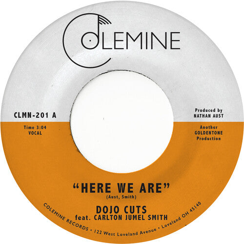 Dojo Cuts - Here We Are { vinyl }