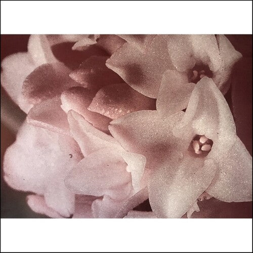 Masonna - Masonna Vs Banamara { vinyl }
