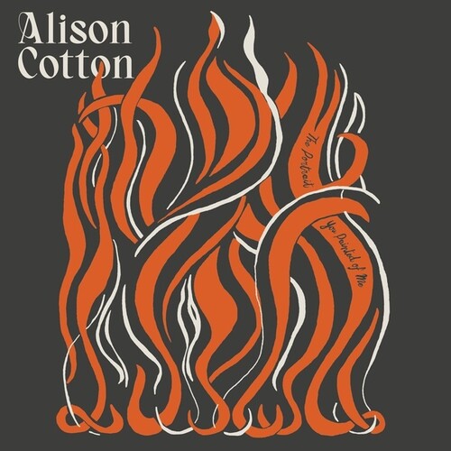 Alison Cotton - Portrait You Painted of Me { vinyl }
