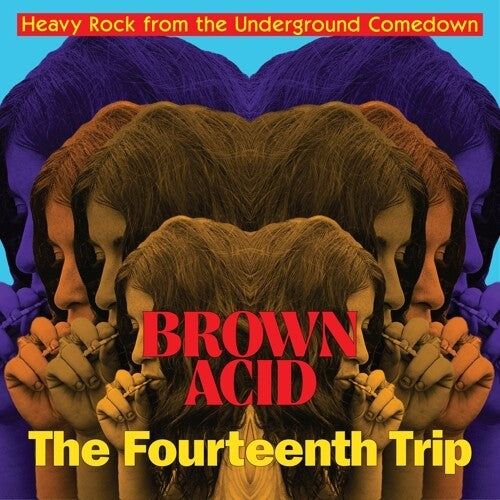 Brown Acid - Fourteenth Trip (various Artists) { vinyl }