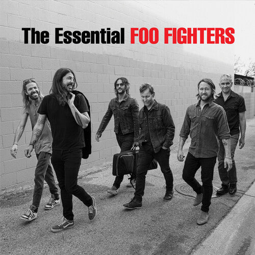 Foo Fighters - The Essential Foo Fighters { vinyl }