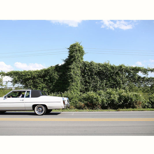 Cory Branan - When I Go I Ghost (LP)