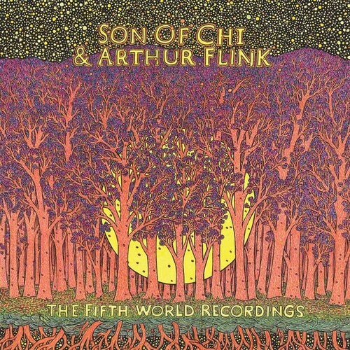 The Fifth World Recordings { vinyl }