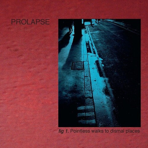 Pointless Walks To Dismal Places { vinyl }