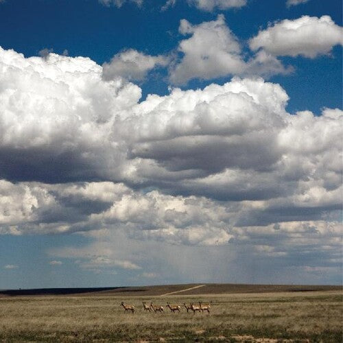 Fruit Bats - Tripper [White] { vinyl }