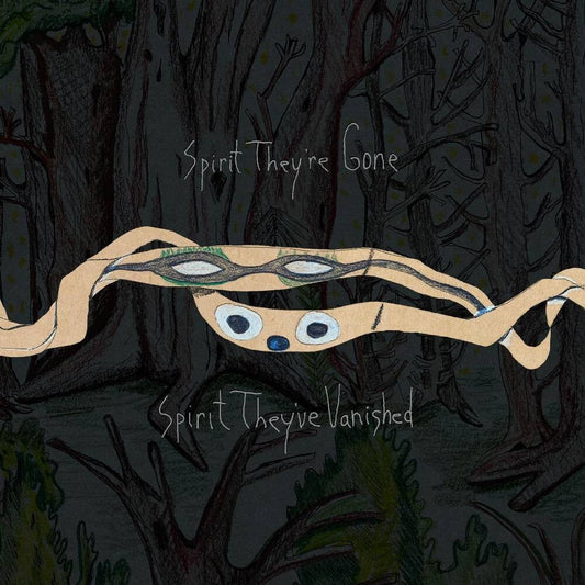 Animal Collective - Spirit They're Gone, Spirit They've Vanished: Remastered 2023 (2LP)