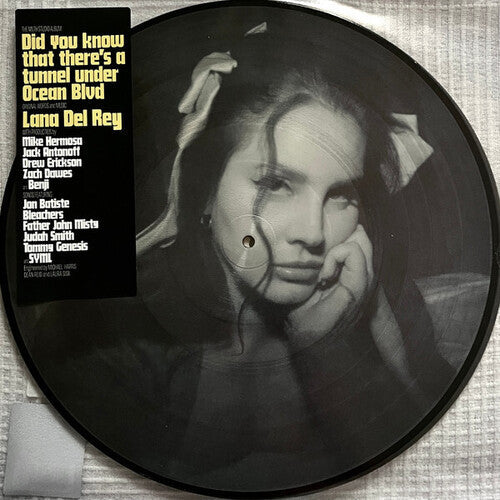 Lana Del Rey - Did you know that there's a tunnel under Ocean Blvd [Picture Disc] { vinyl }
