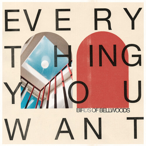 Birds of Bellwoods - Everything You Want { vinyl }