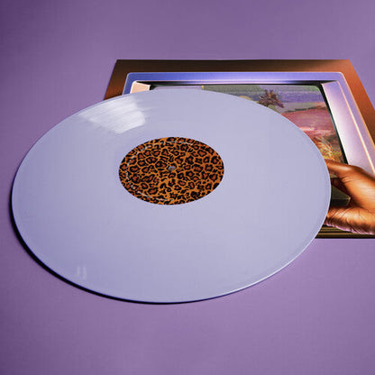 Fly Anakin - Skinemaxxx { vinyl }