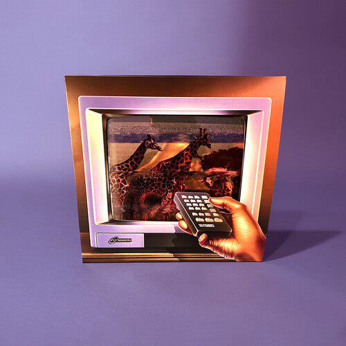 Fly Anakin - Skinemaxxx { vinyl }
