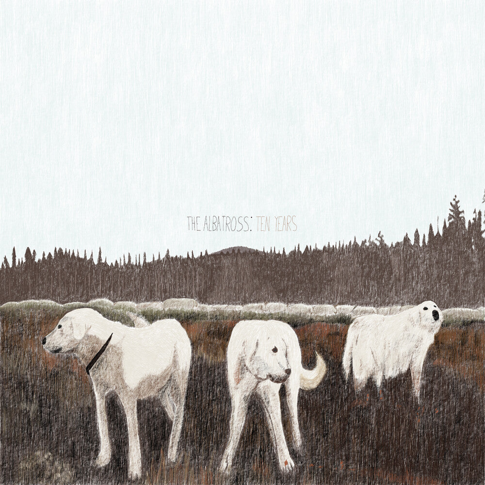 Foxing - Albatross: Ten Years (Brwn) (Colored Vinyl)